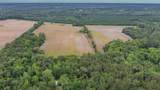 4088 State Road 235 - Photo 11