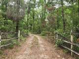 438 Feather Lane - Photo 13