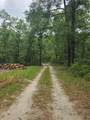 438 Feather Lane - Photo 9