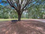 8115 236TH Street - Photo 3