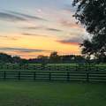 15764 48TH Place - Photo 64