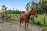 2672 County Road 778 - Photo 47