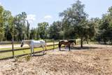 114 Country Living Lane - Photo 39