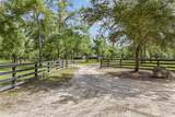 1827 Shiloh Street - Photo 59