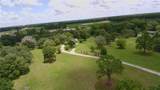 24206 Doc Karelas Drive - Photo 6