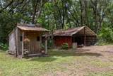 6207 County Road 235 - Photo 52