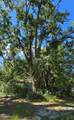 2801 167TH Road - Photo 42