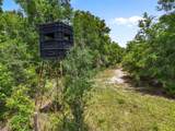 4639 Wilson Springs Road - Photo 44