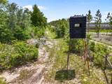 4639 Wilson Springs Road - Photo 45