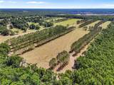 4639 Wilson Springs Road - Photo 50