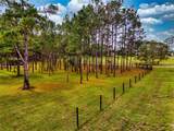 148 Horizon Street - Photo 44