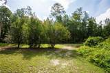 5165 Chicory Circle - Photo 14
