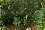 5165 Chicory Circle - Photo 17