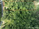 5165 Chicory Circle - Photo 3
