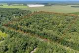 8289 Highway 349 - Photo 3