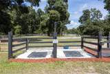 9106 124 Street - Photo 16