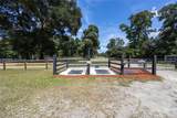 9106 124 Street - Photo 17
