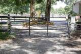 9106 124 Street - Photo 46
