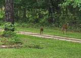 10410 81ST Street - Photo 27