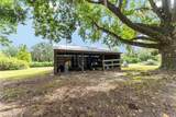 770 County Road 21 - Photo 64