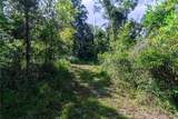 5301 County Road 235 - Photo 10