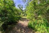 5301 County Road 235 - Photo 11