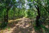 5301 County Road 235 - Photo 7