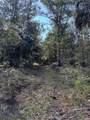 TBD Quail Road - Photo 20