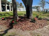 502 Main Street - Photo 46