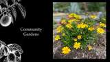 5415 125TH Circle - Photo 18