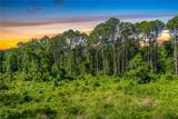 3201 Raulerson Road - Photo 12