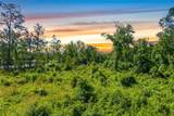 3201 Raulerson Road - Photo 2