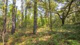 101 Ashley Lake Drive - Photo 13