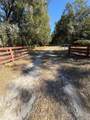 11727 122ND Street - Photo 17