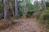 402 709 Street - Photo 34