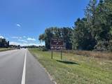 TBD Us Hwy 19 (N Young Blvd) - Photo 11