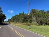 TBD Us Hwy 19 (N Young Blvd) - Photo 17