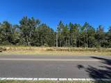 TBD Us Hwy 19 (N Young Blvd) - Photo 18