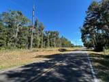 TBD Us Hwy 19 (N Young Blvd) - Photo 19