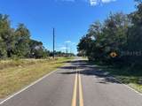 TBD Us Hwy 19 (N Young Blvd) - Photo 21