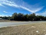 TBD Us Hwy 19 (N Young Blvd) - Photo 8