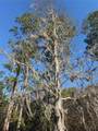 01 126 Street - Photo 10