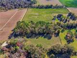TBD County Road 239 - Photo 12