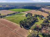  County Rd 239 - Photo 5