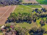  County Rd 239 - Photo 6