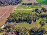  County Rd 239 - Photo 6