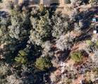 3015 Owls Nest Lane - Photo 12