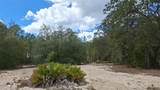  Fisher Way - Photo 1