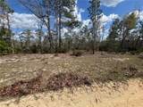 131 Quail Way - Photo 6
