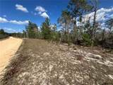 131 Quail Way - Photo 7